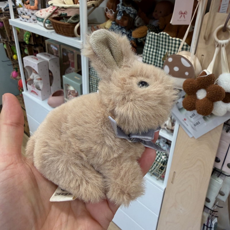 Bébés animaux | Lapin marron