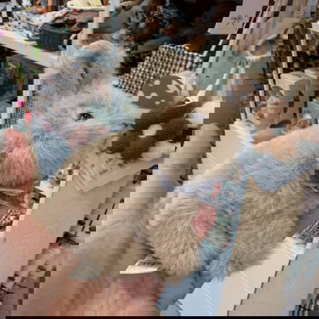 Bébés animaux | Lapin marron - Konges Slojd