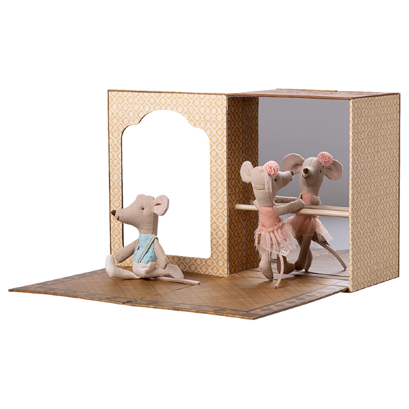 Studio de danse avec souris