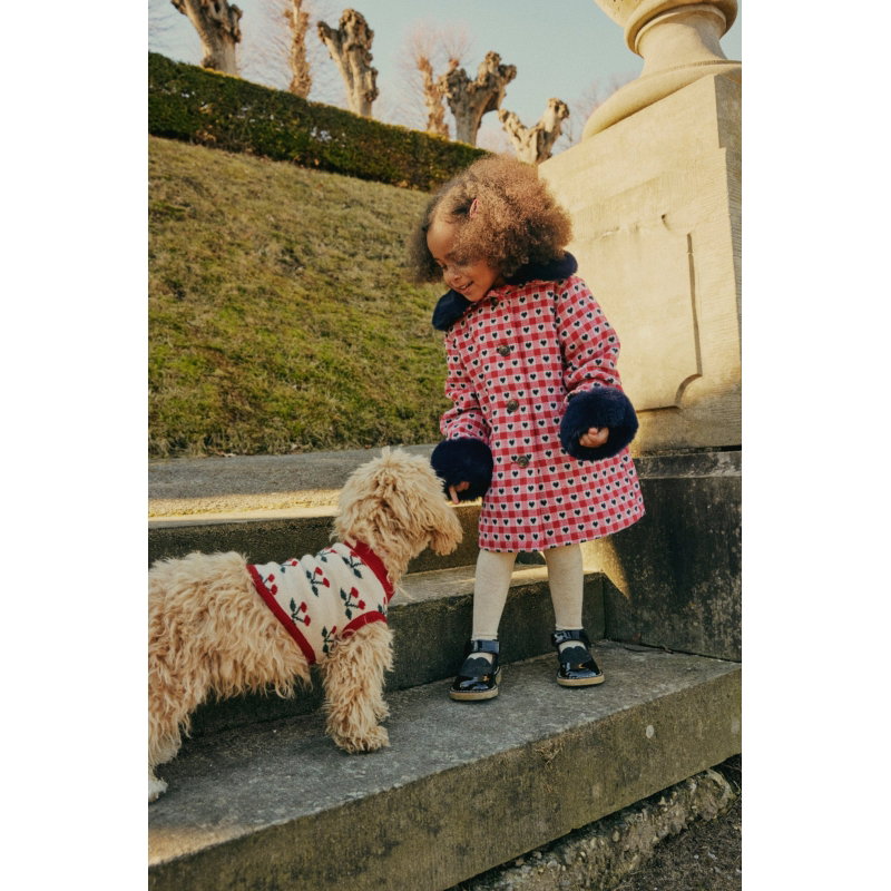Gilet pour chien en tricot cerise