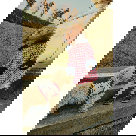 Gilet pour chien en tricot cerise - Konges Slojd