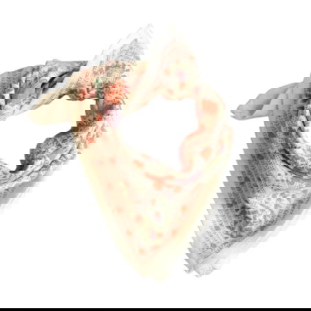 Foulard Petit format | Ellis Clementine - Bëllemme