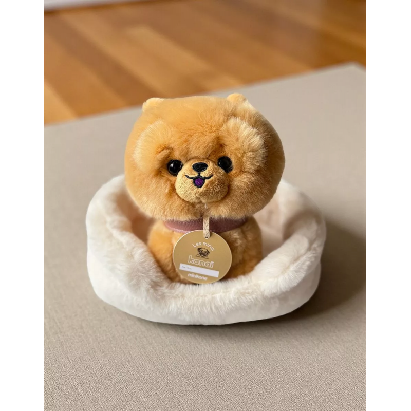 Peluche de 18 cm son panier | Loki le chien