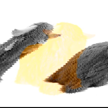 Animal sauteur | Vache Highland - Wild and soft