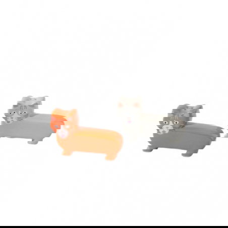 Sel et Poivre | Chat - Fluid Market