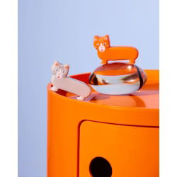 Sel et Poivre | Chat