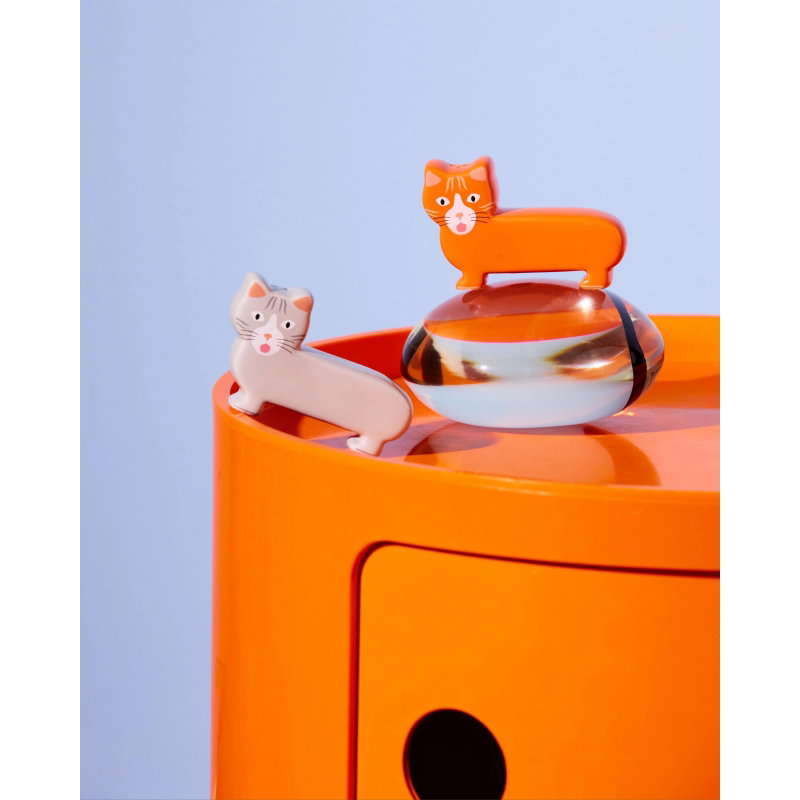 Sel et Poivre | Chat