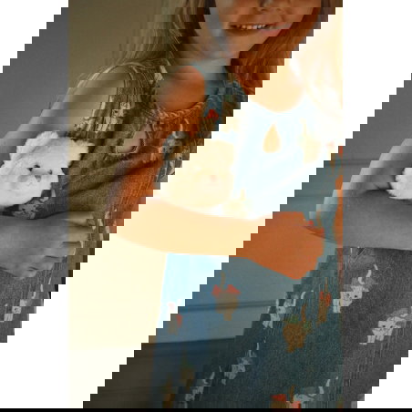 Peluche Flip chat et chien - Konges Slojd