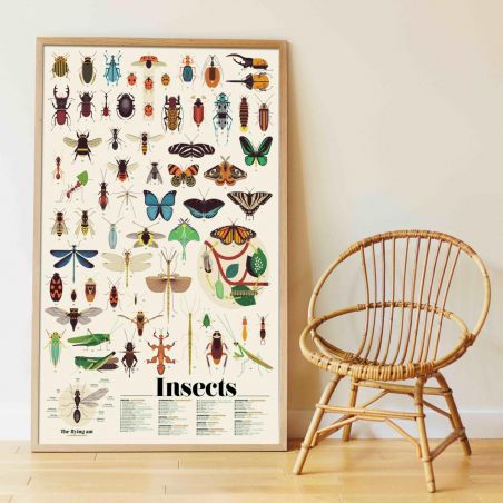 Poster Stickers Insectes Poster Stickers Insectes