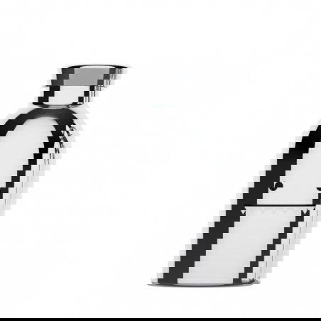 Gourde 250ml | Monstre chrome - Noodoll