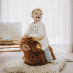 Animal sauteur | Vache Highland