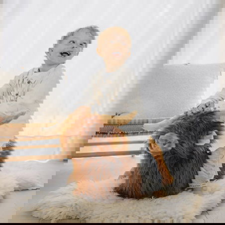 Animal sauteur | Vache Highland - Wild and soft