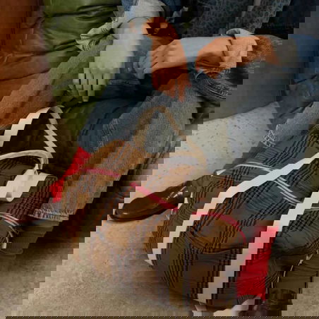 Sac Raphael | Tartan - Rose in April