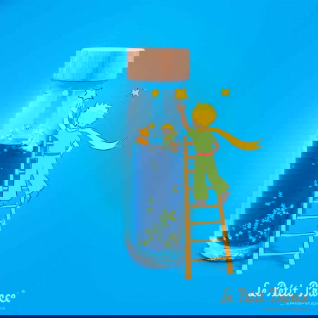 Bouteille sensorielle | Le petit prince - Petit Boum