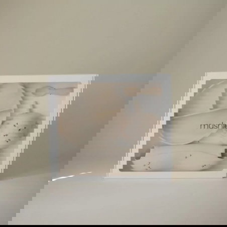 Box repas 4 pièces | Abeilles - Mushie