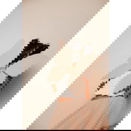 Ailes de papillon | Pink - Mrs Ertha