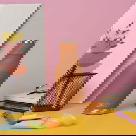 Gourde isotherme 460 ml | Renard - asobu