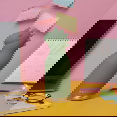 Gourde isotherme 460 ml | Dinosaure - Asobu