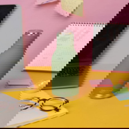 Gourde isotherme 460 ml | Dinosaure - Asobu