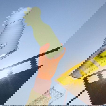 Gourde isotherme 460 ml | Dinosaure - Asobu