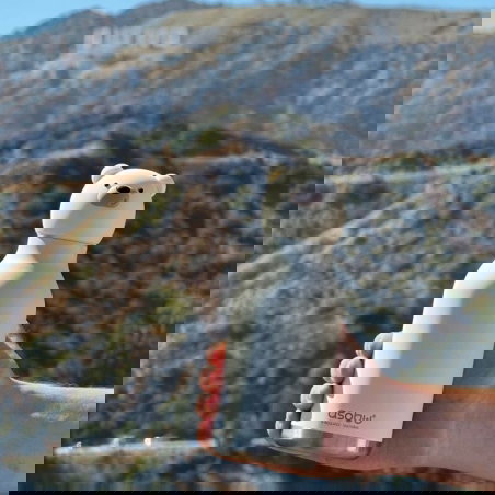 Gourde isotherme 460 ml | Ours