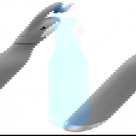 Gourde isotherme 460 ml | Elephant - asobu