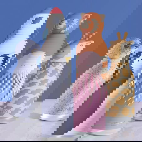 Gourde isotherme 460 ml | Fusée - asobu