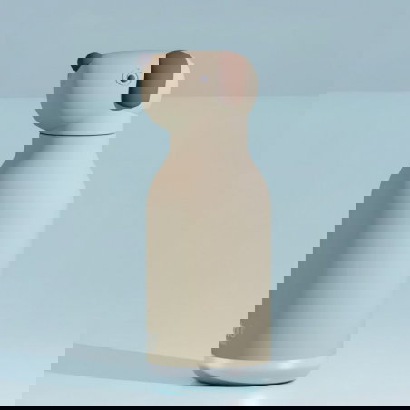 Gourde isotherme 460 ml  | Chien - asobu