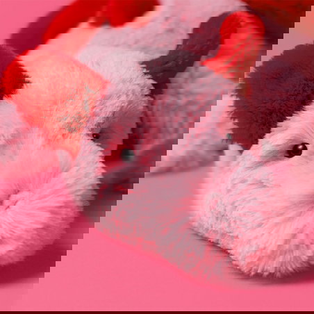 Dragon Medium | Heart - Jellycat