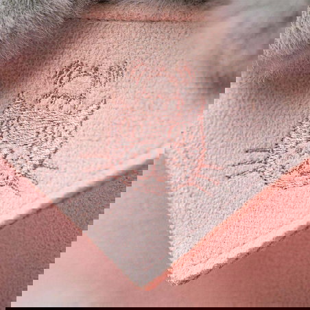 Koala avec message - Jellycat