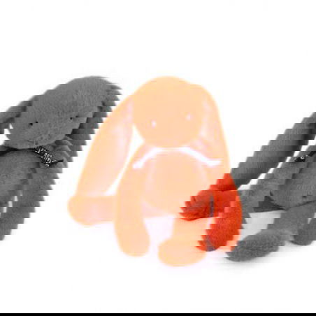 Lapin Méloé | Potiron - Mailou