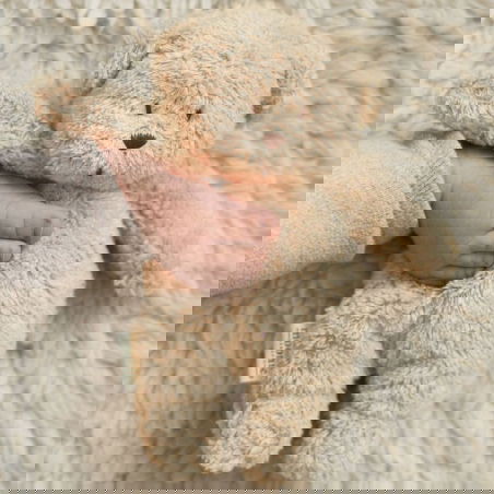 Peluche Petit Ourson Sensoriel | Sable - Moonie