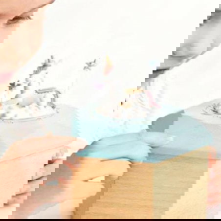 Boite à bijoux musicale | Licorne - Wooderful life