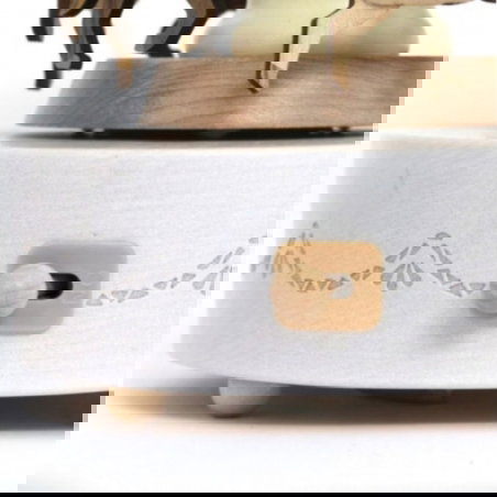 Boite à musique | Carrousel - Wooderful life