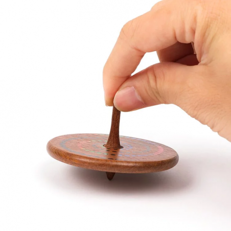 Toupie | Fantastique - Wooderful life