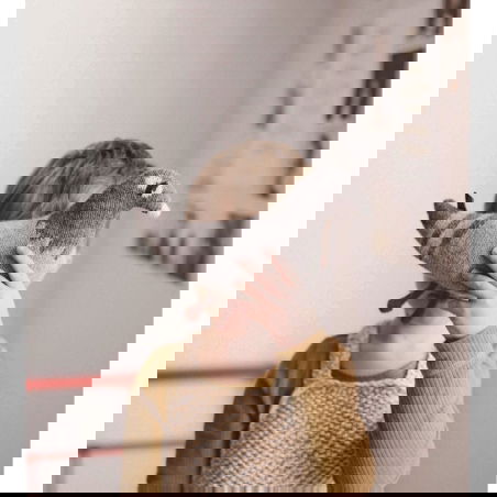 Doudou pigeon - Main Sauvage