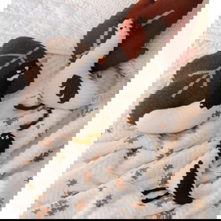 Doudou oie - Main Sauvage