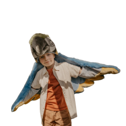 Déguisement/Tapis | Perroquet