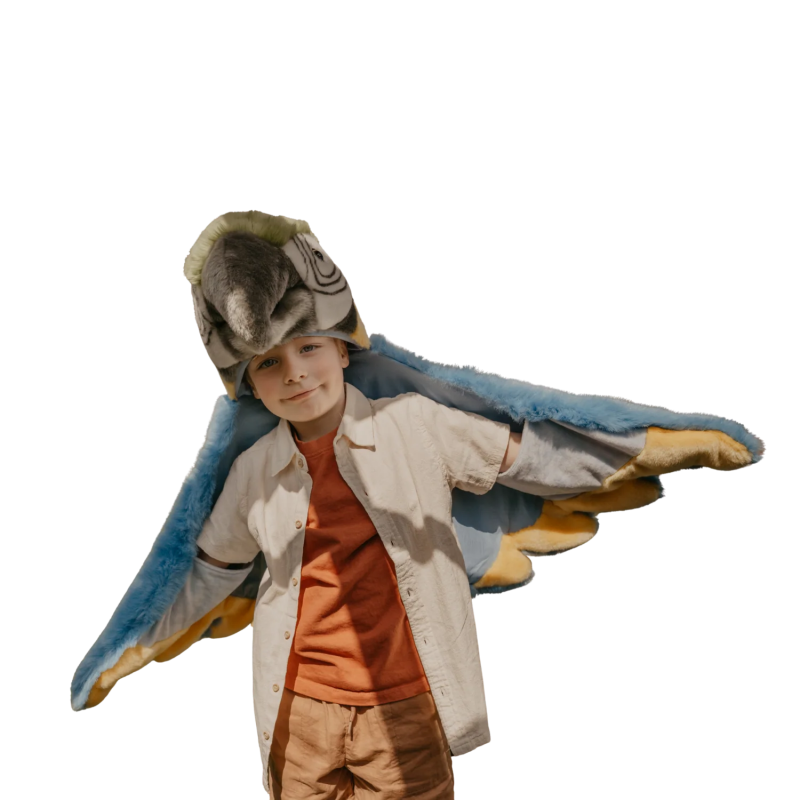 Déguisement/Tapis | Perroquet