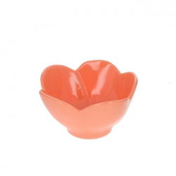 Bol en mélamine | Pêche