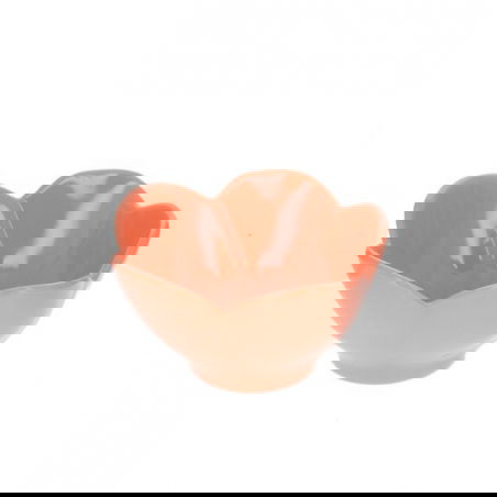 Bol en mélamine | Pêche