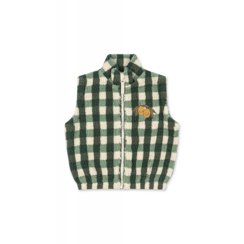 Veste Jody Teddy | Green check