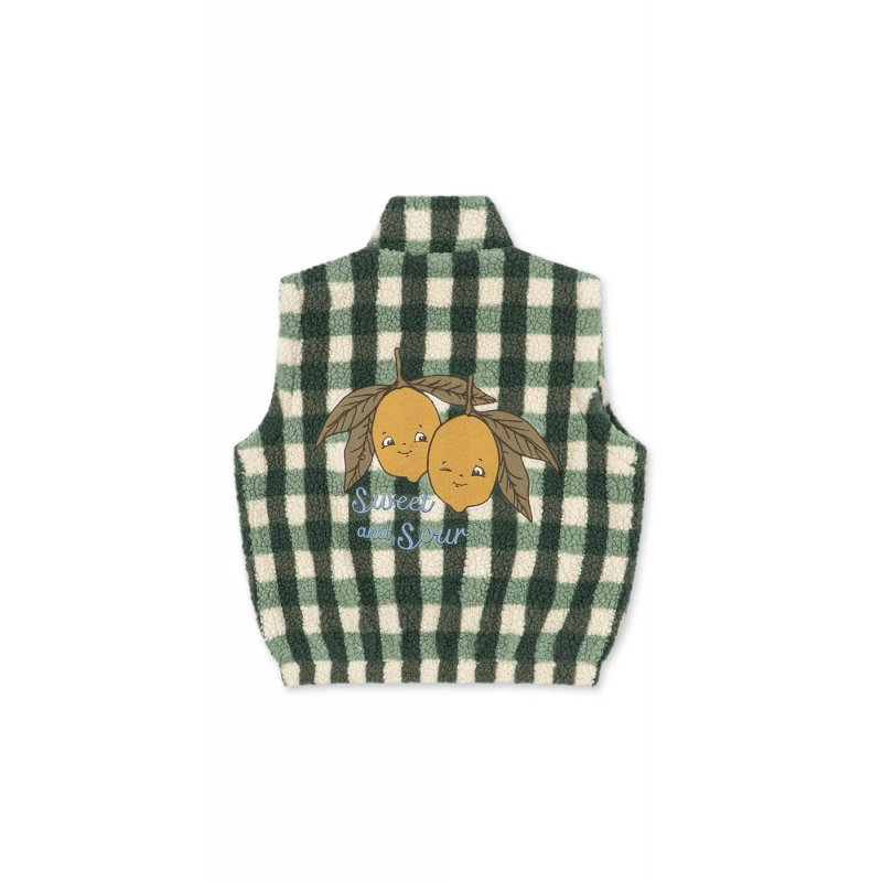 Veste Jody Teddy | Green check