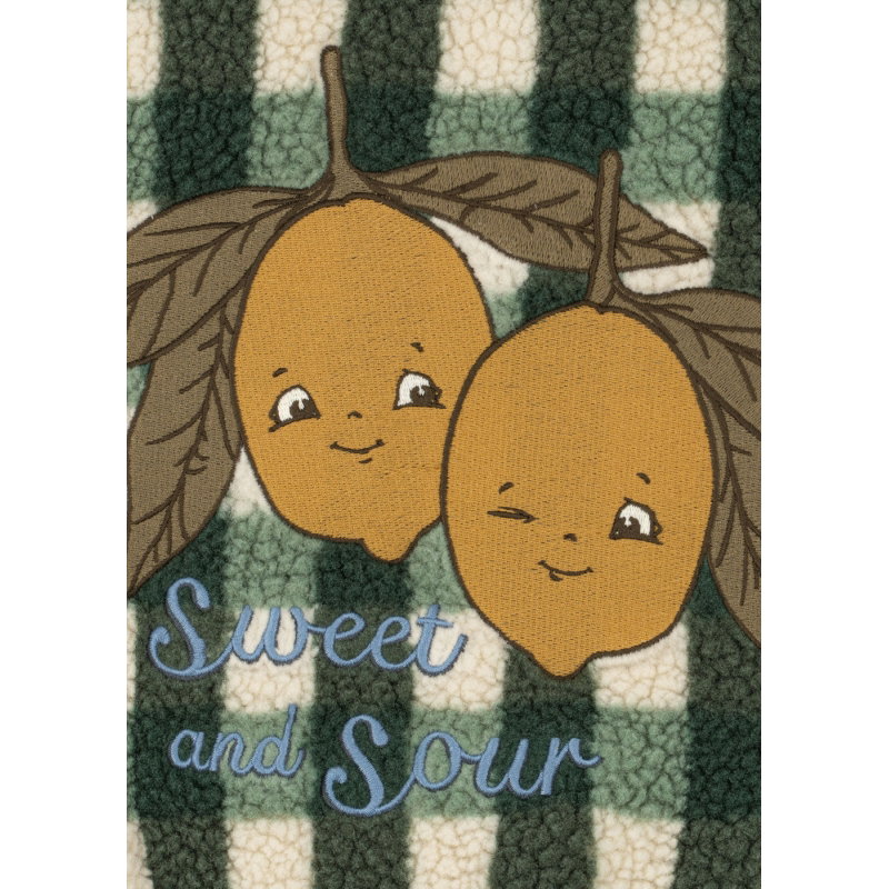 Veste Jody Teddy | Green check