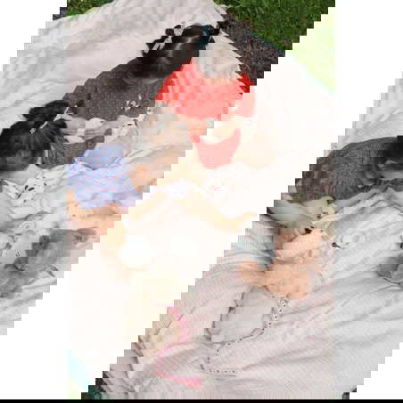 Coffret dinette | Blue dot - Konges Slojd