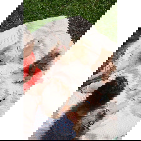 Coffret dinette | Blue dot - Konges Slojd