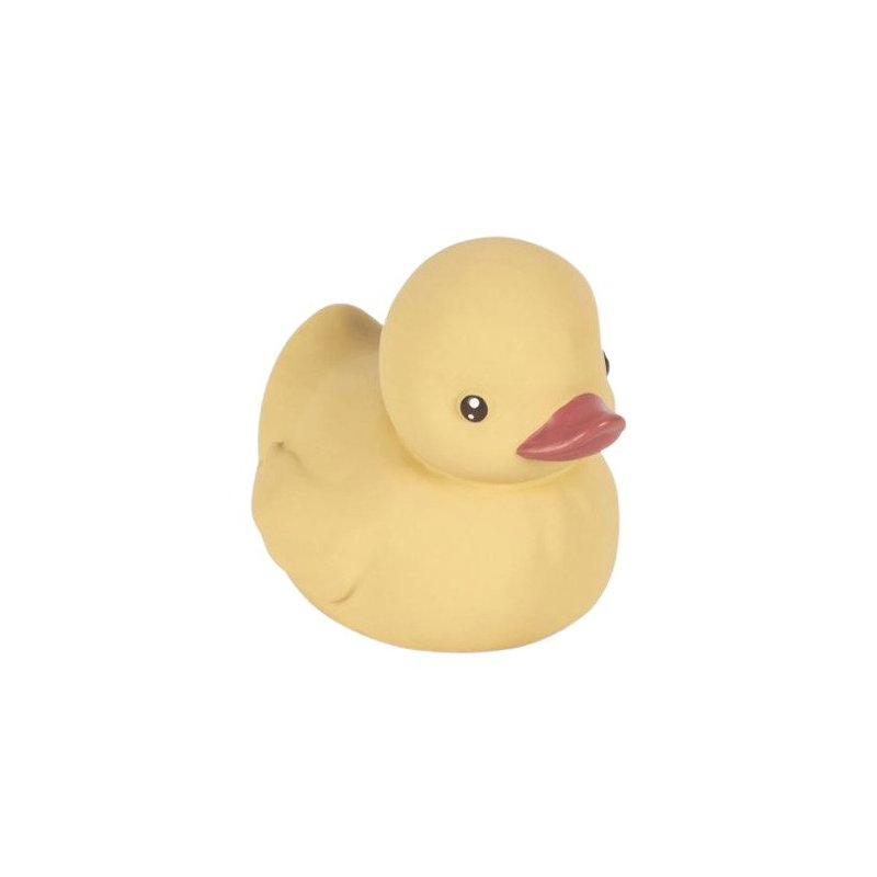 Canard de bain
