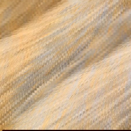 Lapin Springlowe Luxe 51 cm - Jellycat