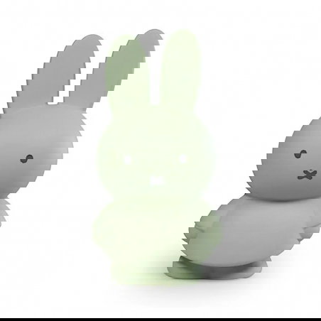 Tirelire Miffy | Eucalyptus - Sélection déco