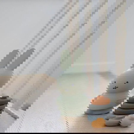 Tirelire Miffy | Eucalyptus - Sélection déco